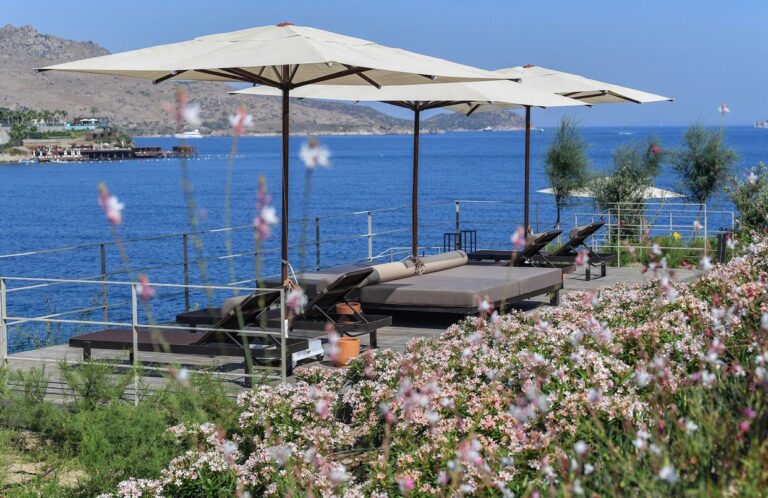 10c8223e-80d8-4601-8d96-2ecf929474ae