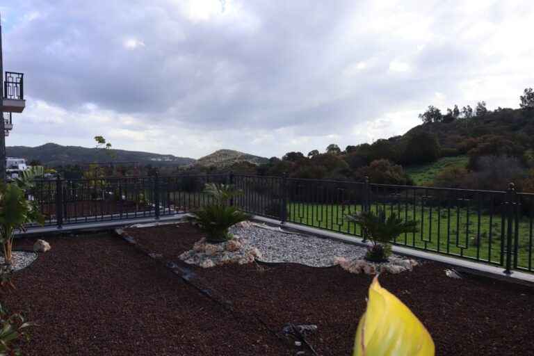 WhatsApp-Image-2023-01-18-at-14.08