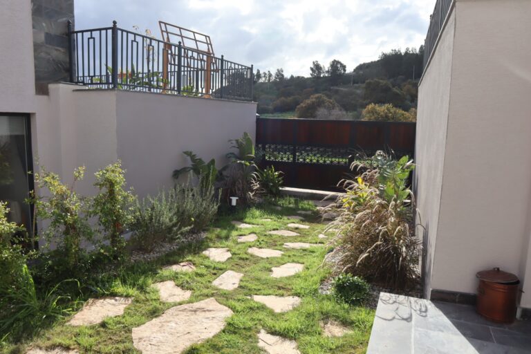 WhatsApp-Image-2023-01-18-at-14.08